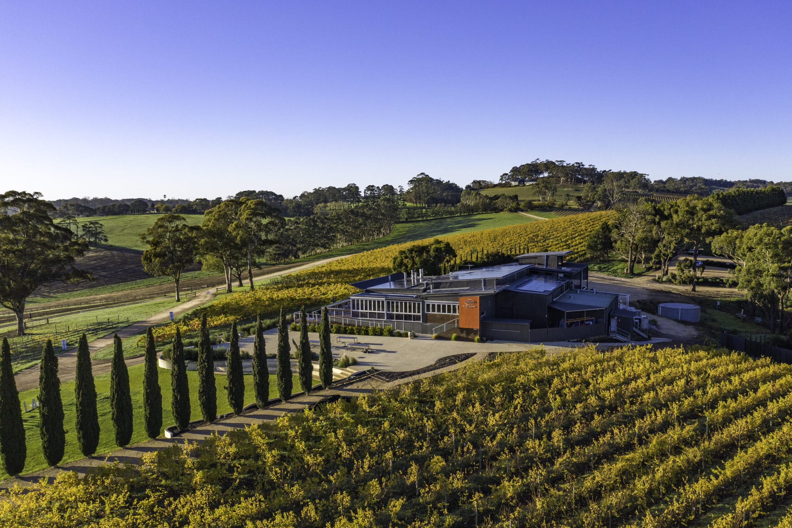 Restaurant The Lane Vineyard