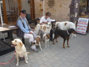 Dogs in Hahndorf