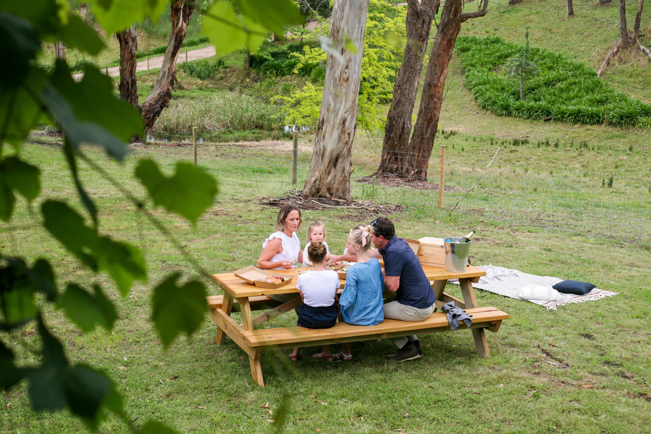 Estate Picnics The Lane Vineyard