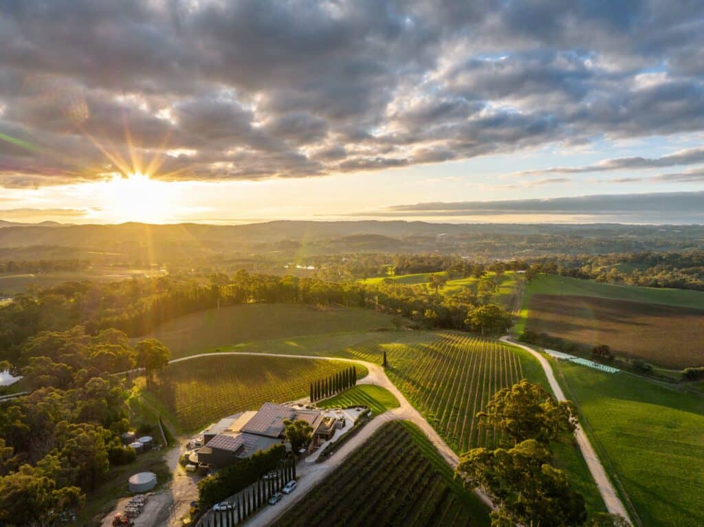 Best Winery Restaurant in South Australia