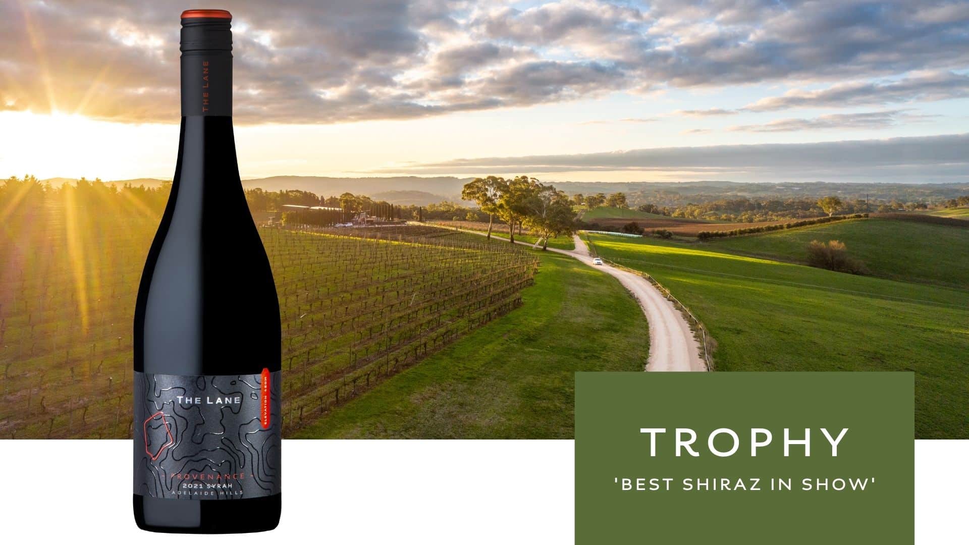 2021 Syrah Wins Trophy for 'Best Shiraz Wine of Show' - The Lane Vineyard